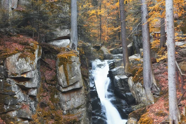 Flusso autunnale nella foresta — Foto Stock