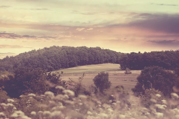 Vackert landskap med fält och kullar vintage stil Stockbild