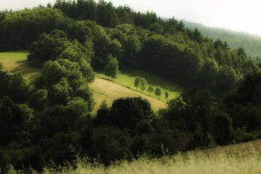 Güzel yaz rüya gibi tarzı