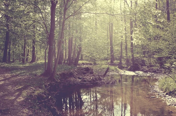 Beautiful mountain stream in spring forest vintage style — Stock Photo, Image