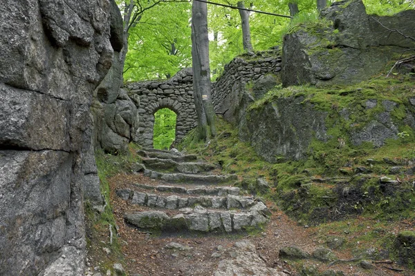 Wald in Chojnik, Karkonosze, Sudety — Stockfoto