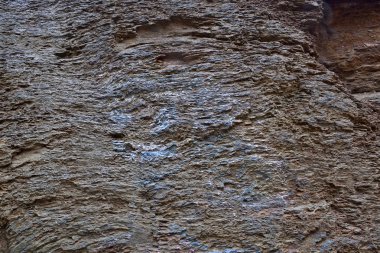 yakın up gri taşın yüzeyi.