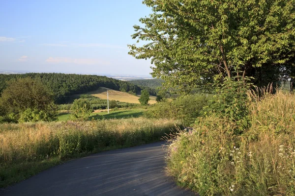 Mooie zomerse — Stockfoto