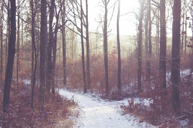 Kış Harikalar Diyarı