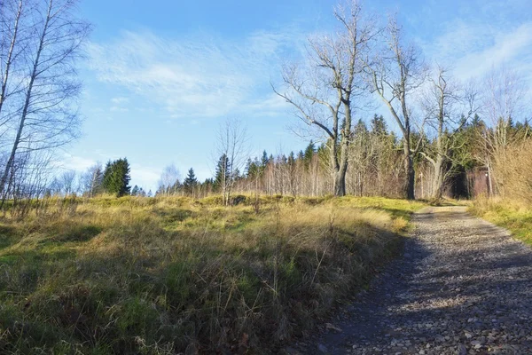 Sentier de montagne — Photo