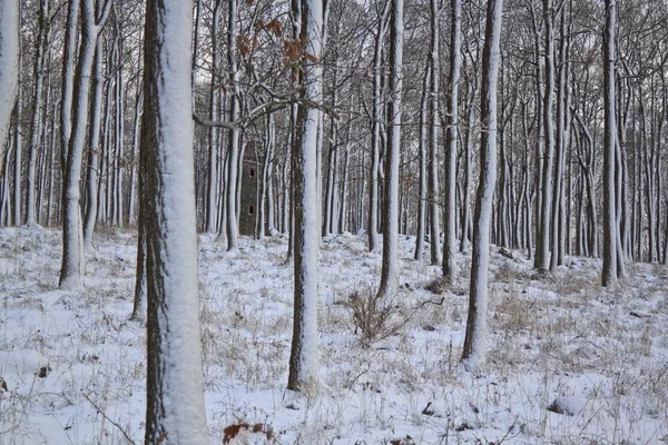 País das maravilhas do inverno — Fotografia de Stock