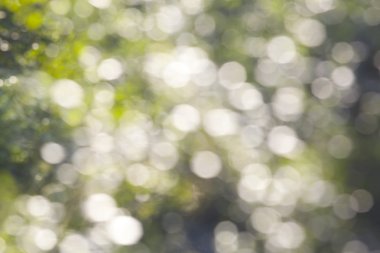 Soyut dairesel bokeh arkaplanı