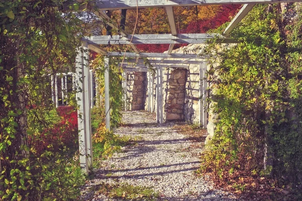 Pergola mit Bank und Efeu — Stockfoto