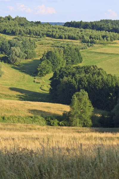 Piękne lato — Zdjęcie stockowe