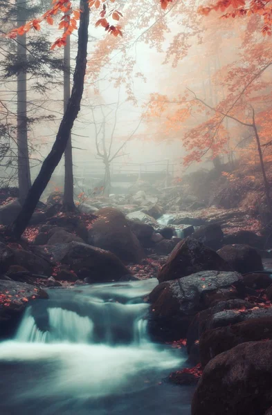 Flusso autunnale nella foresta nel giorno nebbioso Fotografia Stock