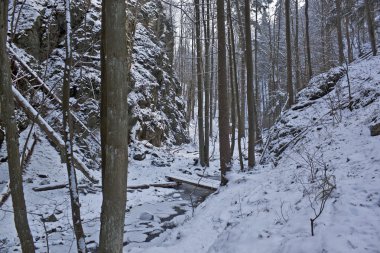 Kış Harikalar Diyarı