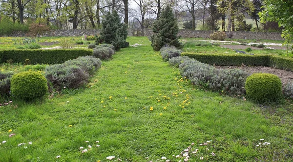 Jardim de primavera — Fotografia de Stock