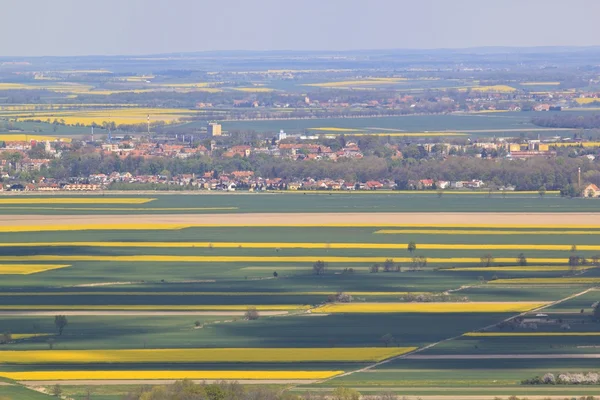 Rapsfelder - Luftaufnahme — Stockfoto