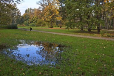 sonbahar park sahnesi