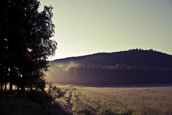 草原で霧の朝。ビンテージ効果の日の出風景写真 — ストック写真
