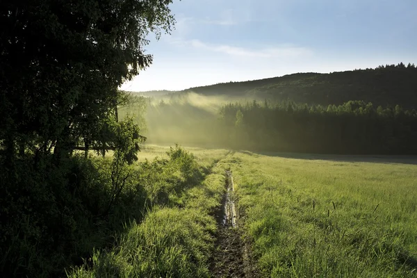 Foggy matin dans la prairie. lever de soleil photo de paysage avec effet vintage — Photo