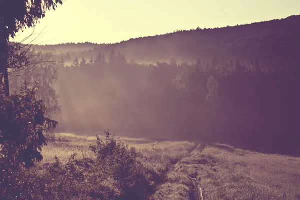 草原で霧の朝。ビンテージ効果の日の出風景写真 — ストック写真