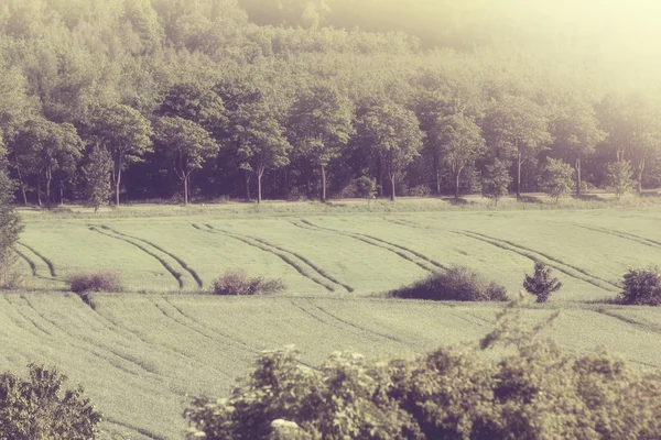 Hermoso paisaje con campos y colinas - estilo vintage —  Fotos de Stock