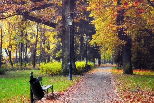 Autumn park scene — Stock Photo, Image