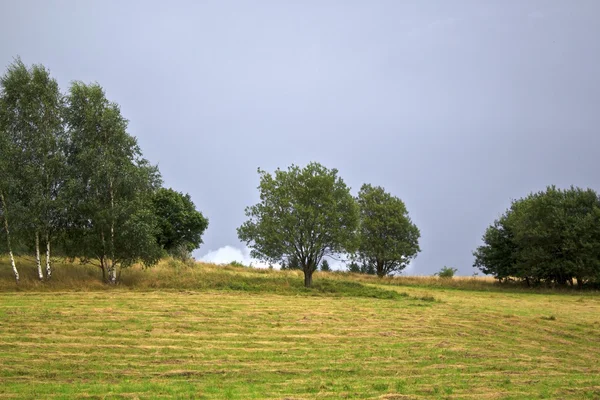 Schöner Sommer — Stockfoto