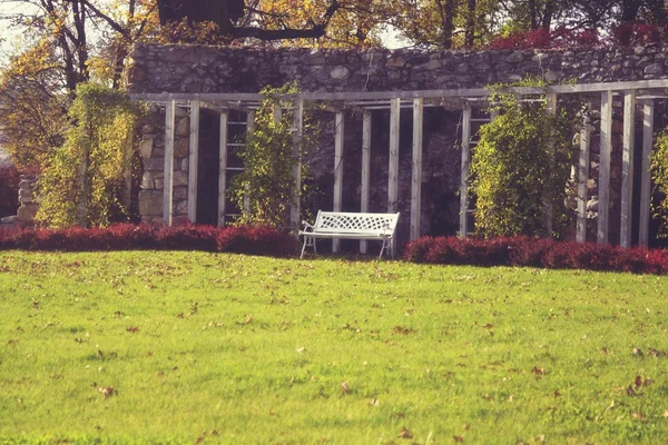 Pergola with bench and ivy Stock Picture