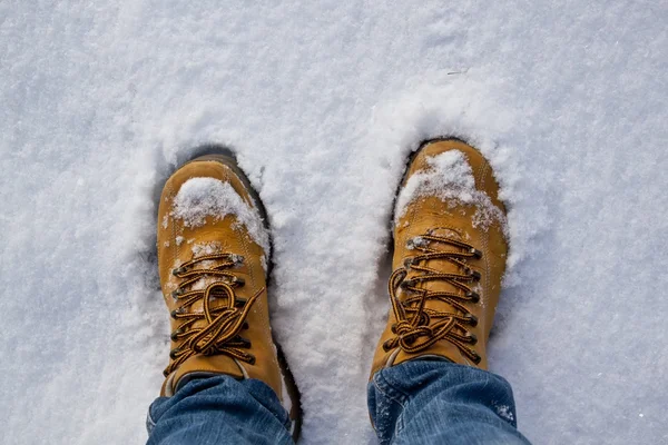 Scarpe nella neve Fotografia Stock