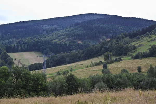 Landskap i polska bergen Sowie - Owl bergen Stockbild
