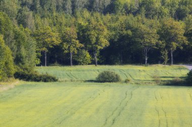alanları ve tepeler güzel manzara
