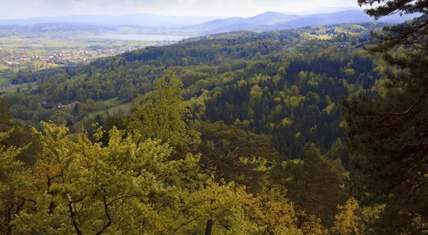 Autunno panorama aereo — Foto Stock