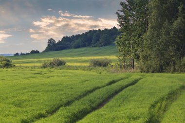 Alanları ve tepeler - vintage tarzı ile güzel manzara