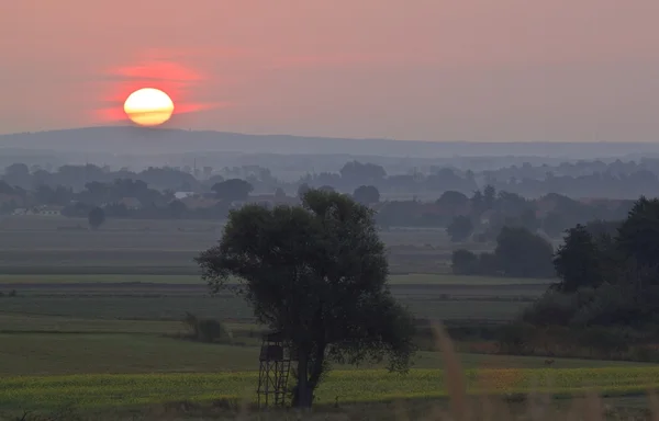 Sunrise — Stock Photo, Image