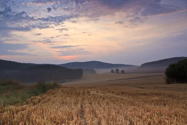 Hermoso amanecer sobre el prado brumoso y los campos —  Fotos de Stock