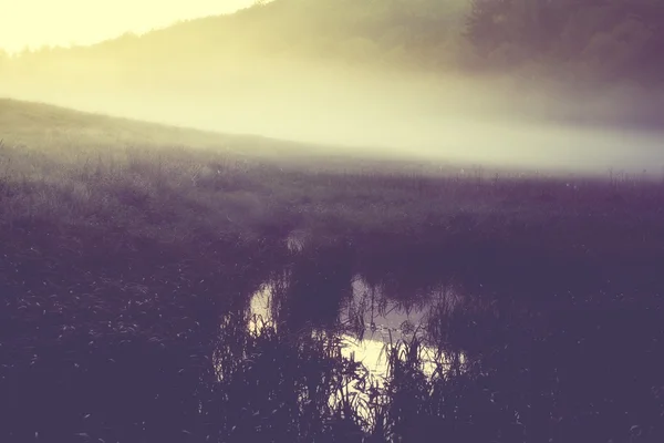 Mattinata nebbiosa sul prato. alba foto paesaggio con effetto vintage — Foto Stock