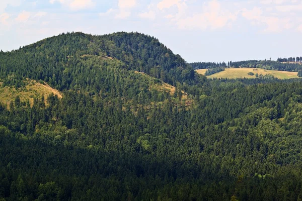 Krajina v polské montains Suche - suché hory — Stock fotografie