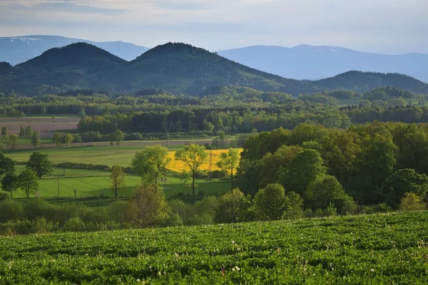 Sokole mountains in Poland - Sudety — Stock Photo, Image