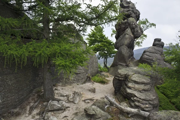 Montañas sokole en Polonia - Sudety — Foto de Stock