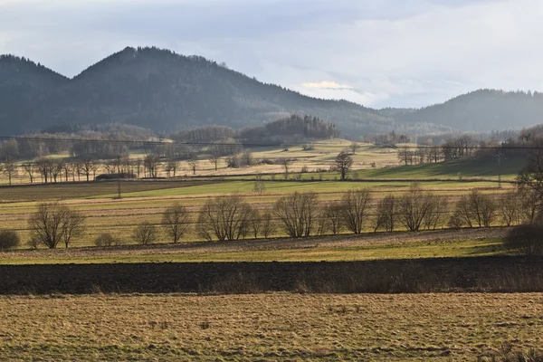 Sokole bergen in Polen - Sudety — Stockfoto