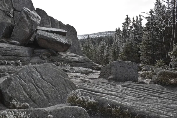 Sendero de montaña en Karkonosze — Foto de Stock