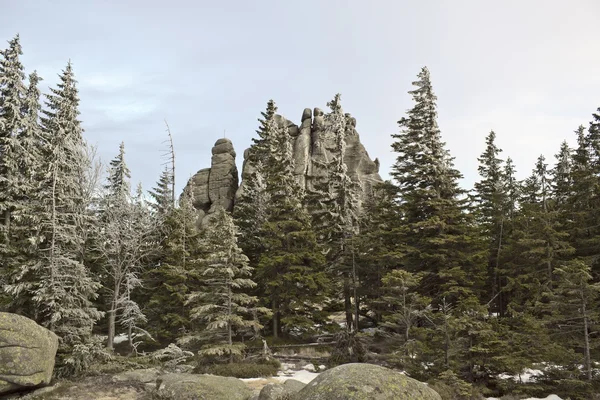 Sendero de montaña en Karkonosze — Foto de Stock