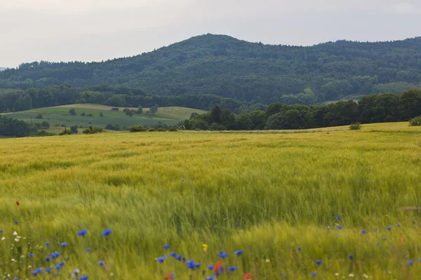 Montañas Kaczawskie, Polonia Imagen De Stock