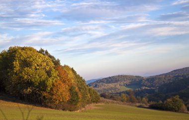 sonbahar park sahnesi