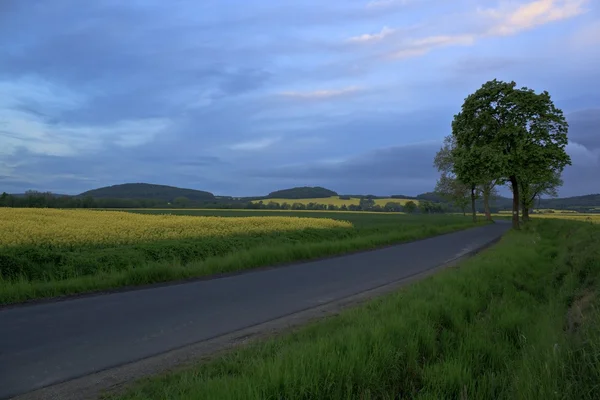 Alba. — Foto Stock