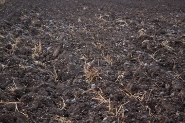 Sürülmüş toprak tarım arka plan