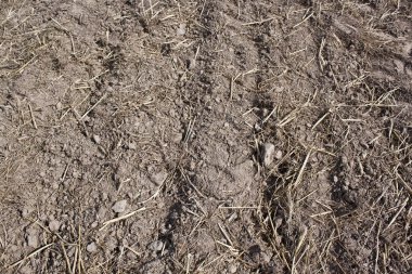 Sürülmüş toprak - tarım arka plan