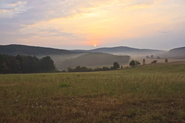 Schöner Sonnenaufgang über nebliger Wiese — Stockfoto