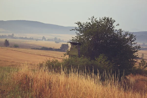 Hunt tower near the forest — Stock Photo, Image