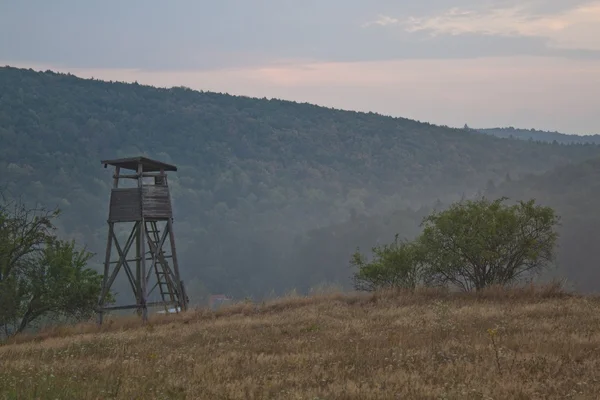 Toren in de buurt van het bos jagen — Stockfoto