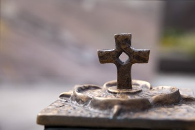 Bir haç closeup