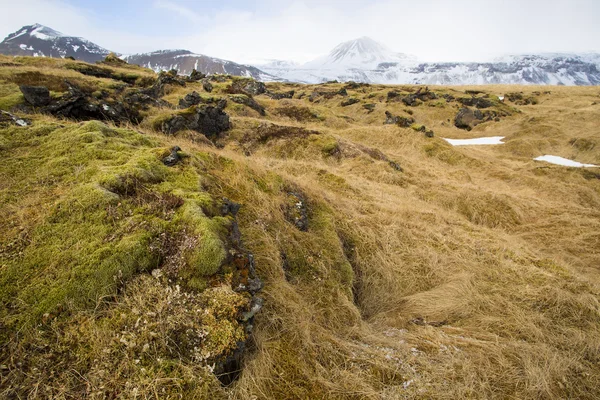 Countryside in West Iceland — Stock Photo, Image