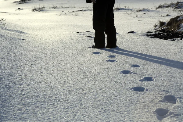 Footsteps in the snow — Stock Photo, Image